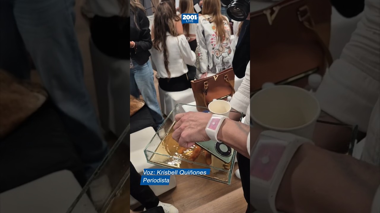 Honor Magic8 Lite: Diseñado para resistir caídas y gran cantidad de agua