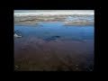 IU Involved In New NASA Research On Arsenic Based Lifeform IU Involved In New NASA Research On Arsenic Based Lifeform