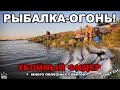 ЖОР весеннего КАРАСЯ! Рыбалка на фидер.