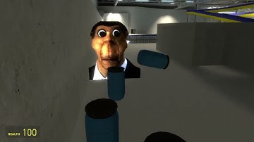 Gmod obunga chase but if I talk or scream the video ends.....