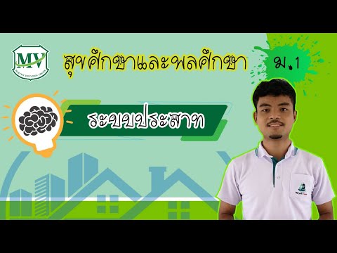 สุขศึกษาและพลศึกษา ม.1 ระบบประสาท