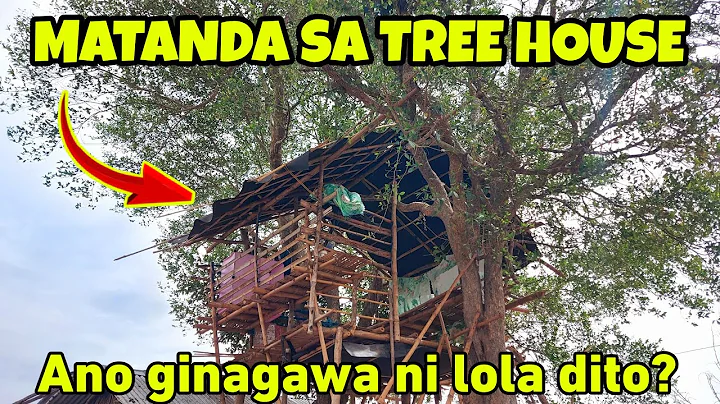 TARA AKYAT TAYO SA TREE HOUSE NI NANAY NENITA