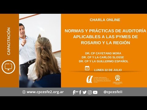 Normas y prácticas de auditoría aplicables a las Pymes de Rosario/ Dres. Mora, Slosse, Español