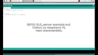 ESP32 BLE_server example and read using Python on Raspberry Pi