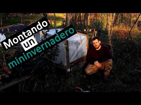 Vídeo: Com Planificar I Construir Un Hivernacle