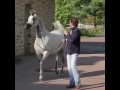 شاهد هذه الفاخره برنسيس اليها ابنة جستس     