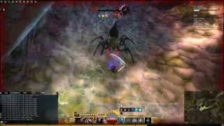 GW2 - Snow Crows [SC] TA Up Malrona Solo Thief 0:31
