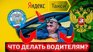 Новый закон о такси начинает действовать / Парковый самозанятый / Яндекс такси