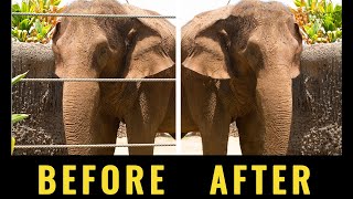 Celebrity How to Easily Master the Clone Stamp Tool in Photoshop Profile