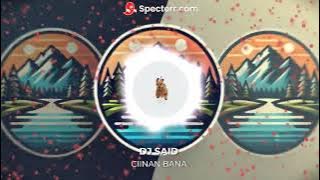 DJ VIRAL CIINAN BANA MODE JAM MEPET