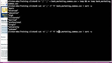 Replace Embedded Commas in CSV File