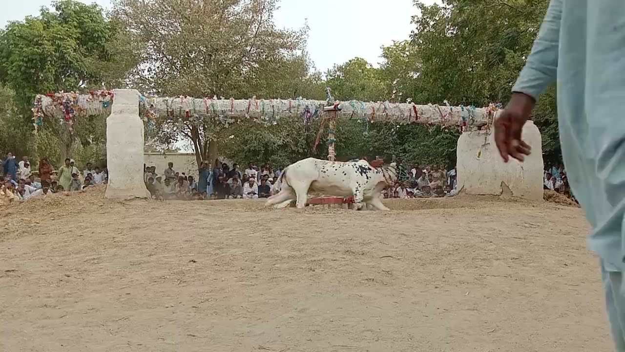 Traditional culture Punjab