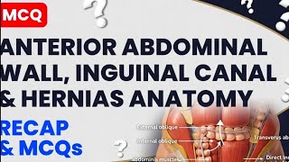 Anterior Abdominal Wall,inguinal canal,hernias Anatomy Short Review & MCQs GIT module (Part 5)