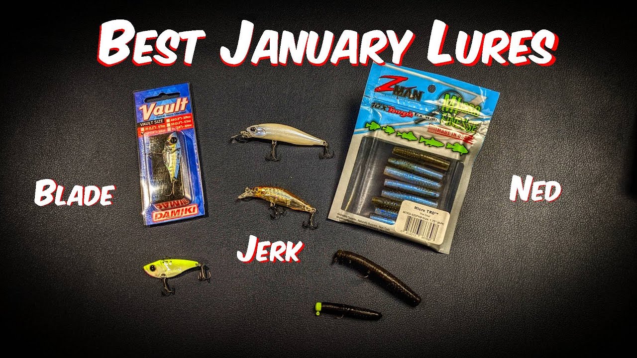Top 3 Finesse Lures for January Bass Fishing YouTube