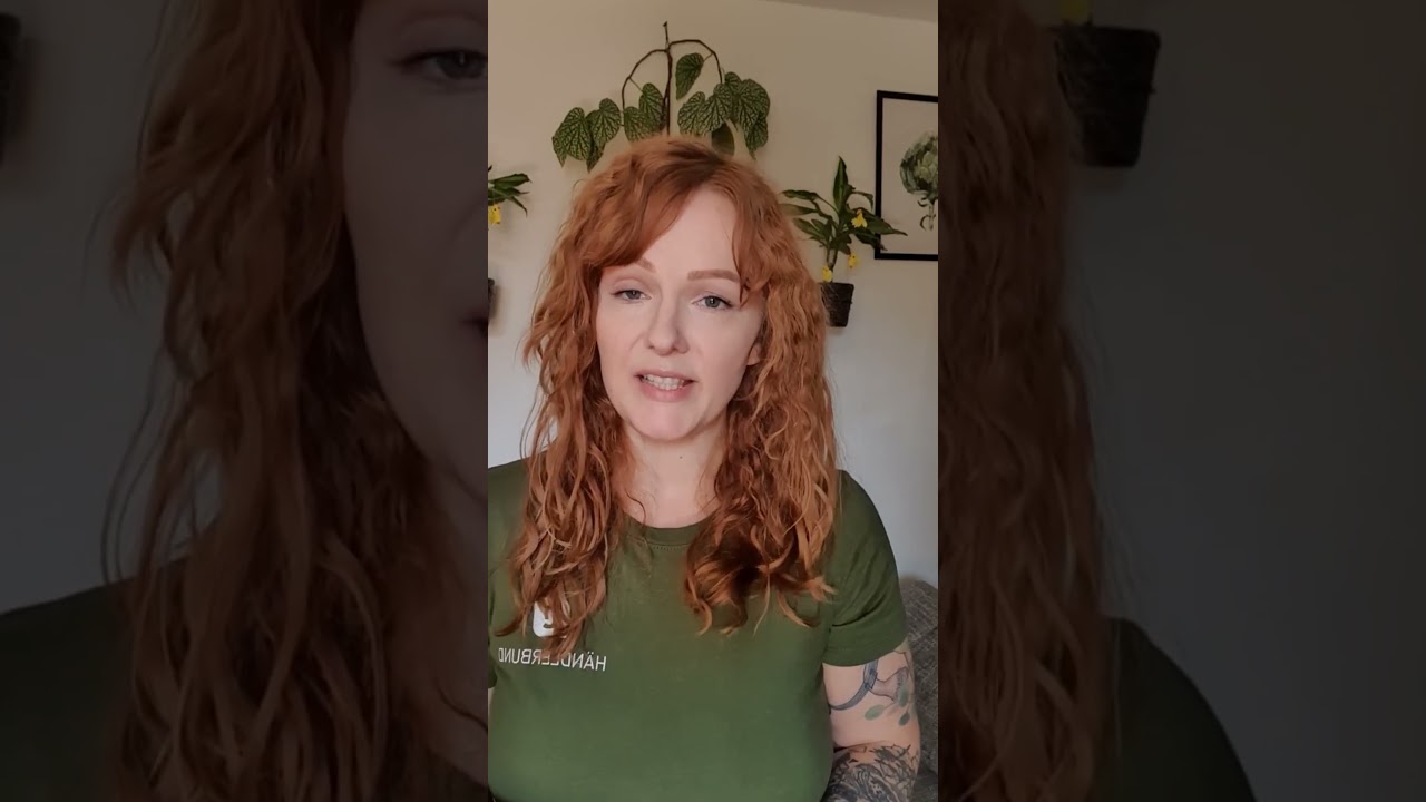 Shorts: Kann ich jetzt einfach einen „Cannabis-Club“ gründen?