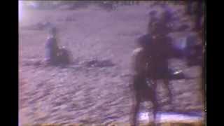 Crystal Beach Amusement Park - Beach, Gardens, The Comet