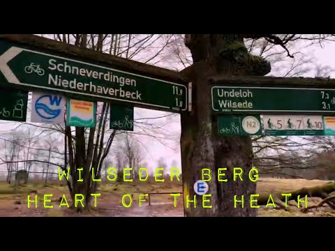 Wilseder Berg - Heart of the Heath / Germany, Bispingen