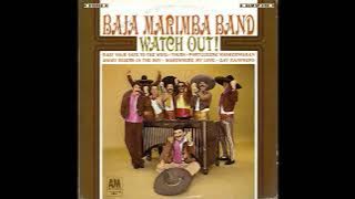 The Portuguese Washerwoman 01 11   Watch Out! Baja Marimba Band