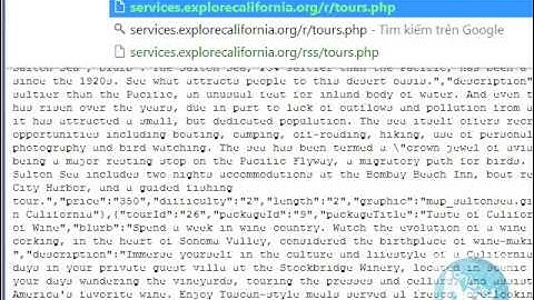 Lập trình web service 01 - bạn cần biết những gì