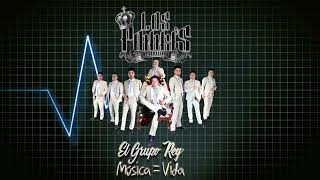 Video thumbnail of "AMIGOS NO POR FAVOR (Yuridia) - LOS PONNY'S  INTERNACIONAL AUDIO OFICIAL HQ"