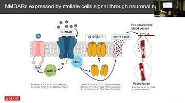 GRICon 2023 Odkrywanie niekanonicznych ról receptorów NMDA z polskimi napisami