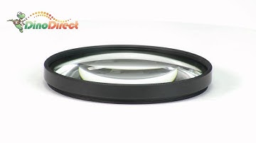 58mm Macro Close-Up +8 Lens Filter for Digital Camera  from Dinodirect.com