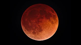 4 Coming Blood Moons (Tetrad)