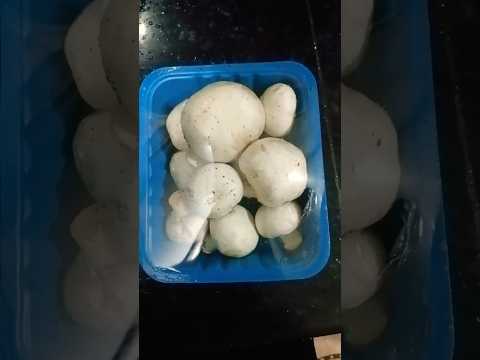 “Mushroom with curd 🍄🥣Soft, creamy & delicious 😍”