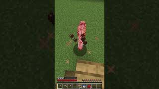 Collecting Nether Brick in Superflat #minecraft #challenge #superflat