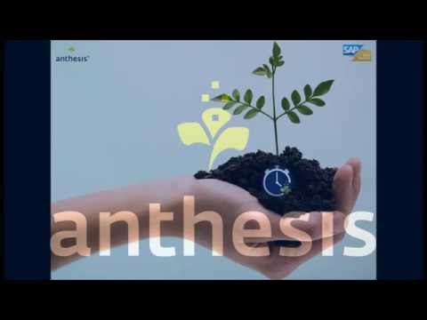 SAP Business ByDesign - anthesis Time Recording Tool