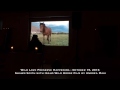 Wild Love Preserve Event with Shawn Smith &amp; Idaho Wild Horses