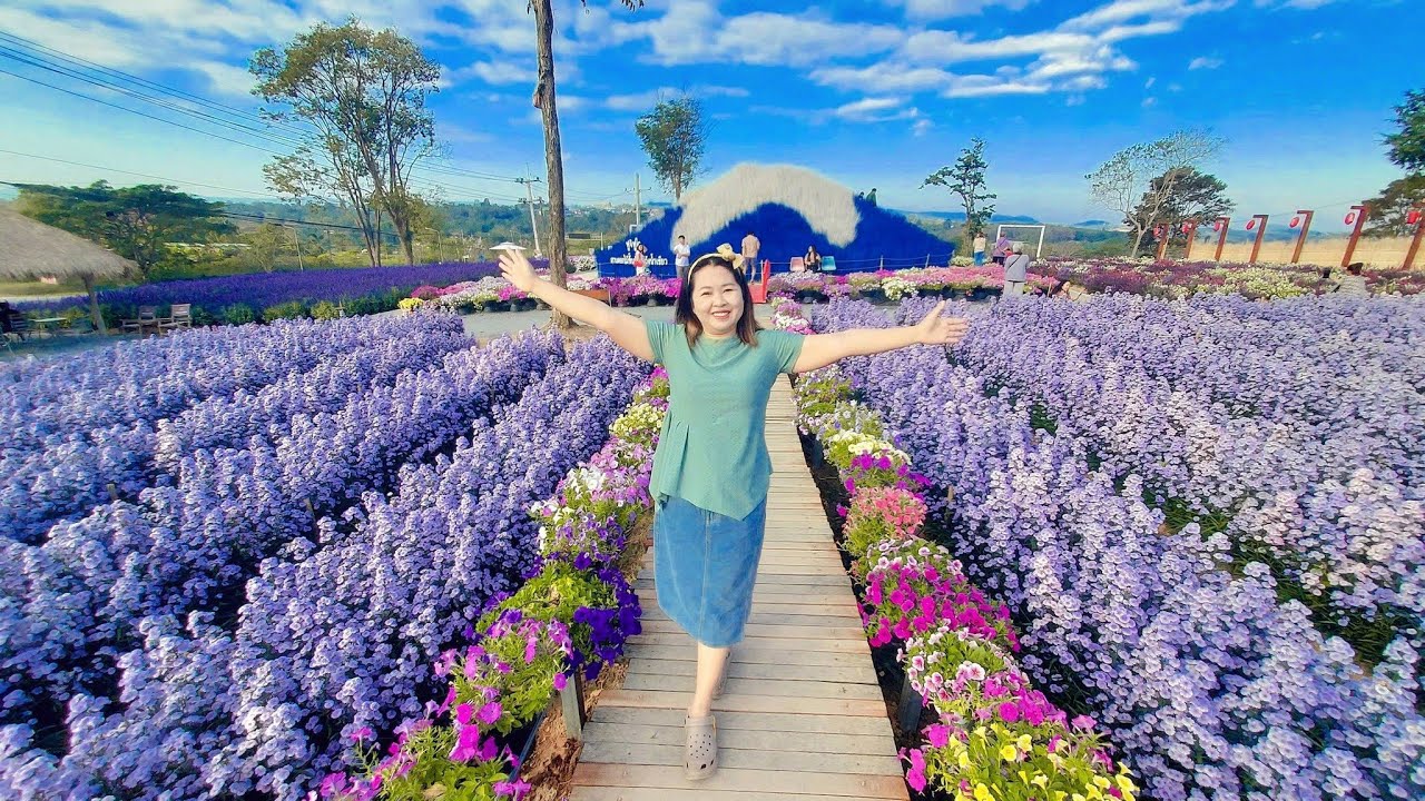 เที่ยววังน้ำเขียว2026 ชิมชาสวนดอกไม้ริมถนน304 เล่าชีวิตคนเดินทางช่วงหยุดปีใหม่ เล่าเรื่องท้ายคลิป