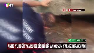 Cizre İtfaiyesi Kedi Kurtarma Operasyonu 