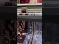 Room wallpaper Printing #wallpaper #3dwallpapers #viralvideo #viralshort