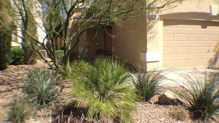 10244 Lemon Thyme St Las Vegas Rentals.