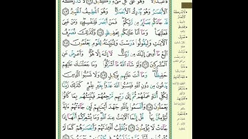 ص 141 - سورة الأنعام - مكررة 7 مرات للتثبيت الشيخ سعد الغامدي {رواية حفص}