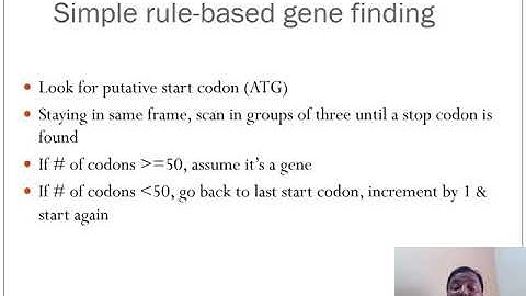 Gene Prediction In Prokaryotes And Eukaryotes