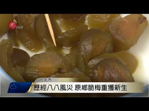 彎腰農夫市集 體驗鄉村農夫生活 2017-11-20 TITV 原視新聞
