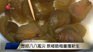彎腰農夫市集 體驗鄉村農夫生活 2017-11-20 TITV 原視新聞