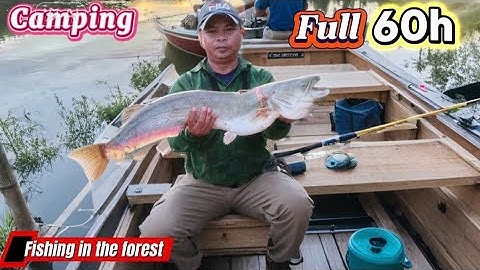 Cá NHEO To Nhất Được Câu Ở Đông Giang | Xác Lập Kỷ Lục Cá Nheo | Fishing in the forest