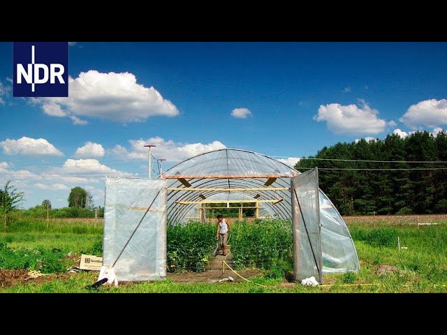 Ackern wie die Alten - Wie Jungbauern einen Hof übernehmen | Die Nordreportage | NDR