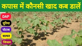 Which Fertilizer to Use for Cotton Crops and When to Apply It