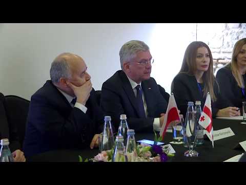 ირაკლი კობახიძე პოლონეთის რესპუბლიკის სენატის მარშალს შეხვდა