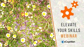 eCognition Webinar: Working with Time Series Image Data as Frames in eCognition eCognition Webinar: Working with Time Series Image Data as Frames in eCognition