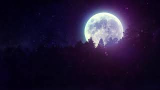 stream_error & nrg - Quiet as the Moon 🌕