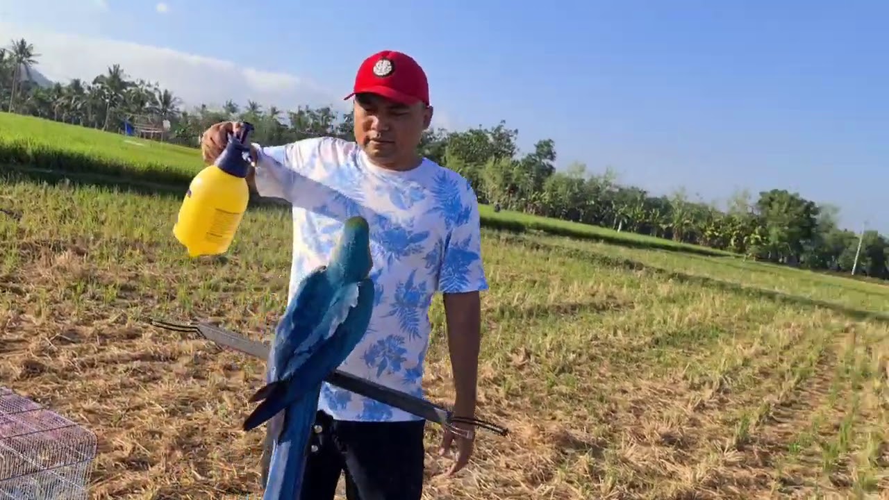 Habis Free Fly Mandi Pagi Jacky n Chelsea😊