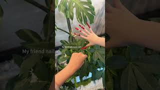 #fpy #nails #diynails #rednails