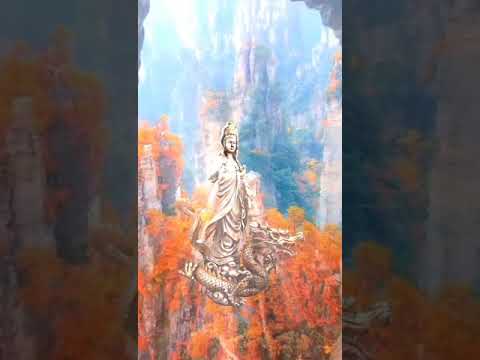 千處祈求千處應 苦海常作渡人洀 南無大慈大悲觀世音菩薩🙏南無阿彌陀佛🙏