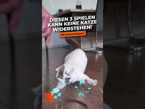 Video: 4 Möglichkeiten, eine Katzendiät zu machen