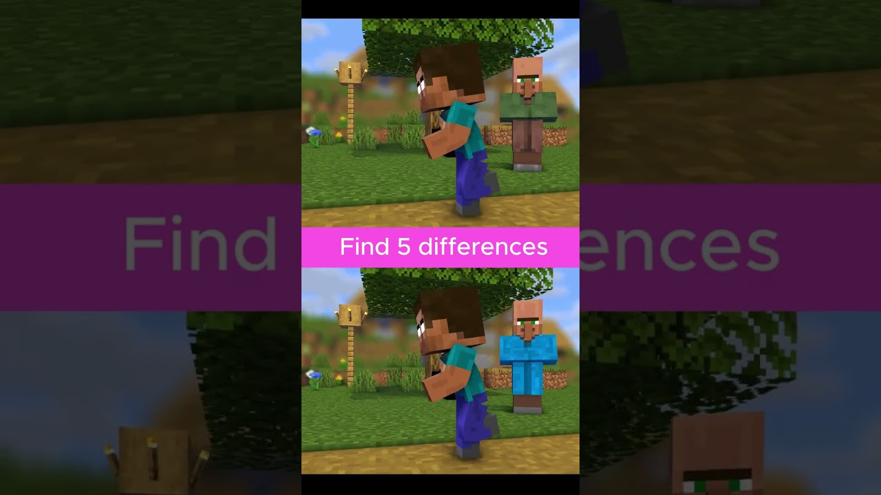 Find 5 differences. Herobrine good Story #shorts #minecraft #ducksi